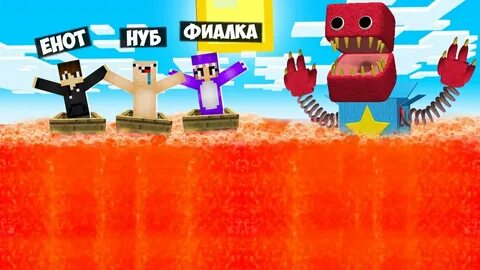 Видео енота и нубика