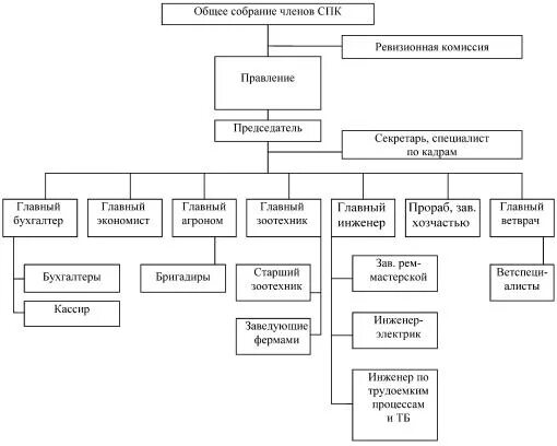 Схема организационной структуры хозяйства СПК. Организационная структура управления СПК. Управленческая структура СПК. Организационная структура предприятия СПК колхоз им Чапаева. Органы управления сельским хозяйством