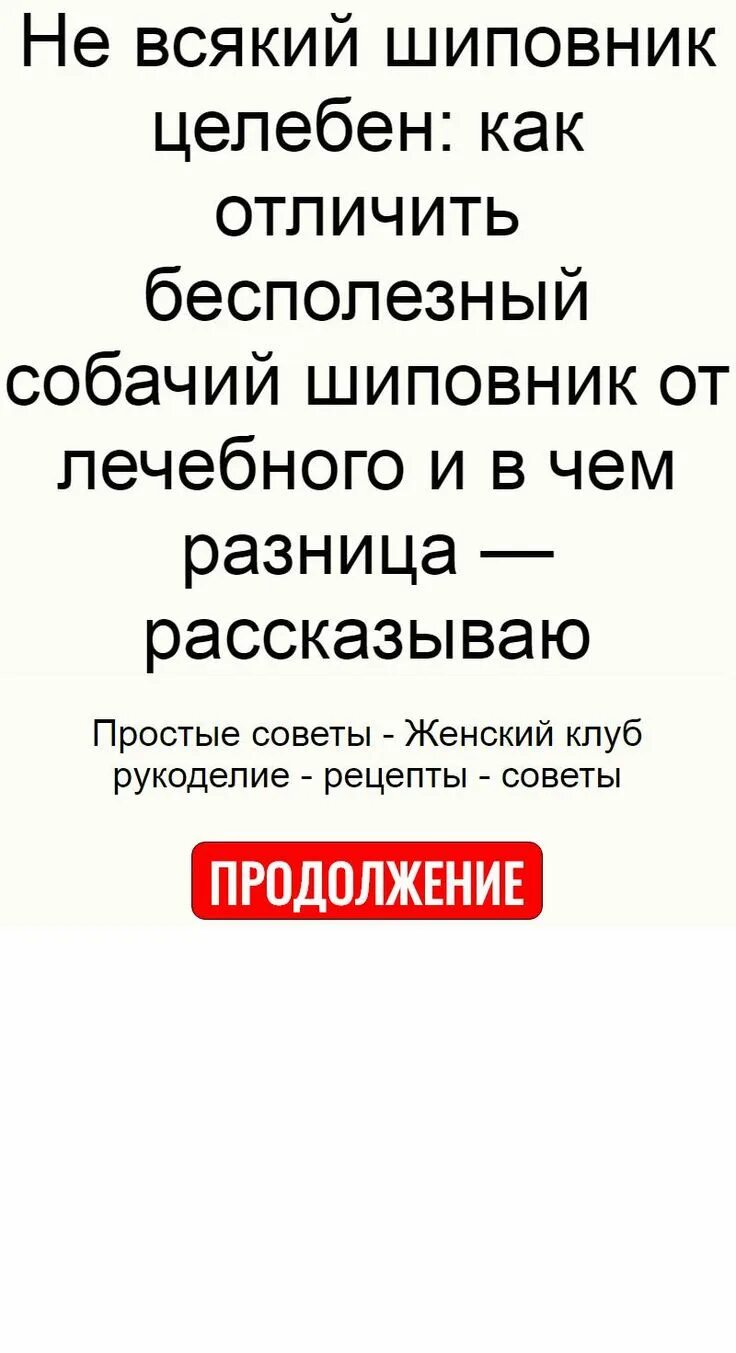 Как используют современные садоводы шиповник собачий. Собачий шиповник как отличить. шиповник майский и собачий отличия. как отличить майский шиповник от собачьего. собачий шиповник как отличить от обычного.