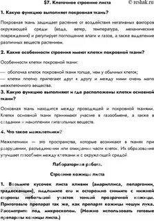 Какие функции выполняют образовательная и основная ткань