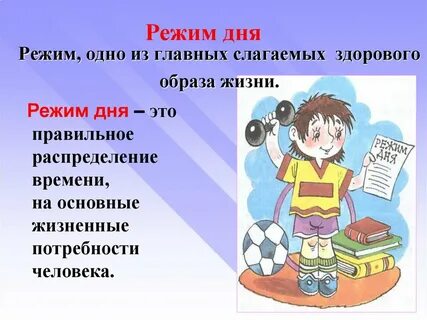 Правильный распорядок жизни