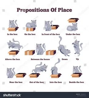 Prepositions of place starlight 5