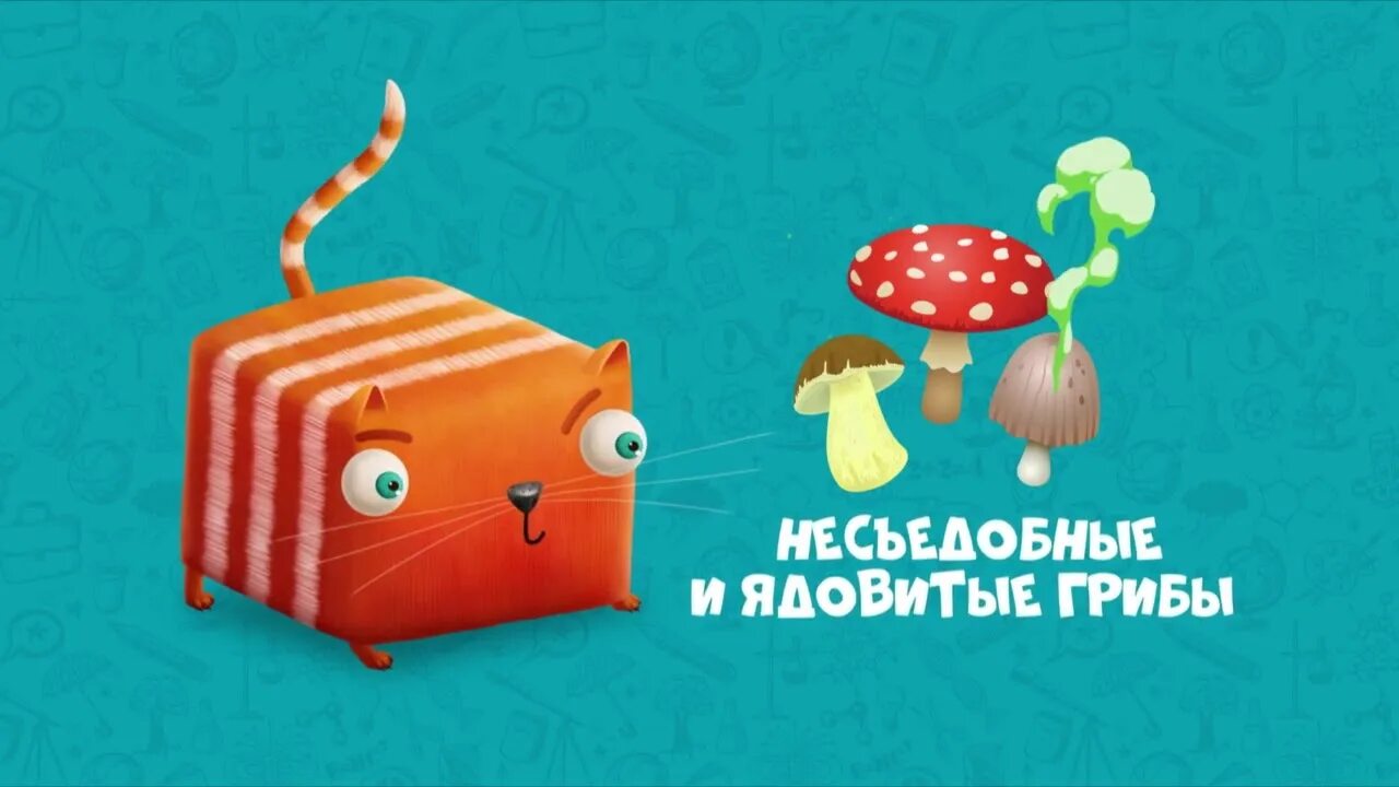 Кубокот 1 класс. Кубокот. кубокот игрушка. куба кот.