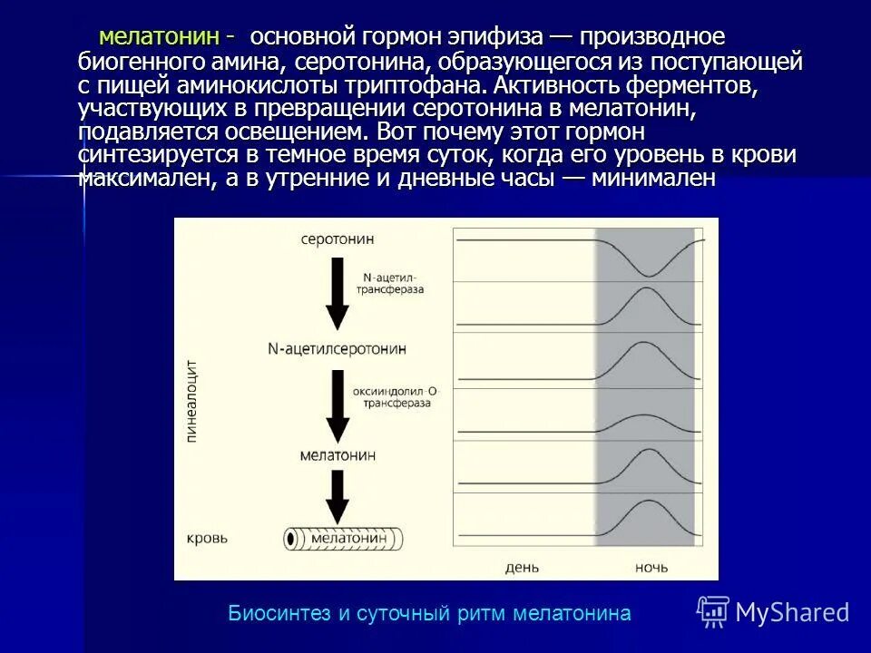 Что влияет на выработку