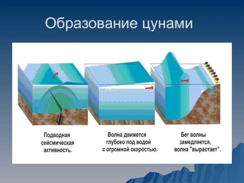 Причины появления воды в. ЦУНАМИ формирование землетрясение схема. Формирование волны ЦУНАМИ. Причины образования ЦУНАМИ. Схема образования волны.