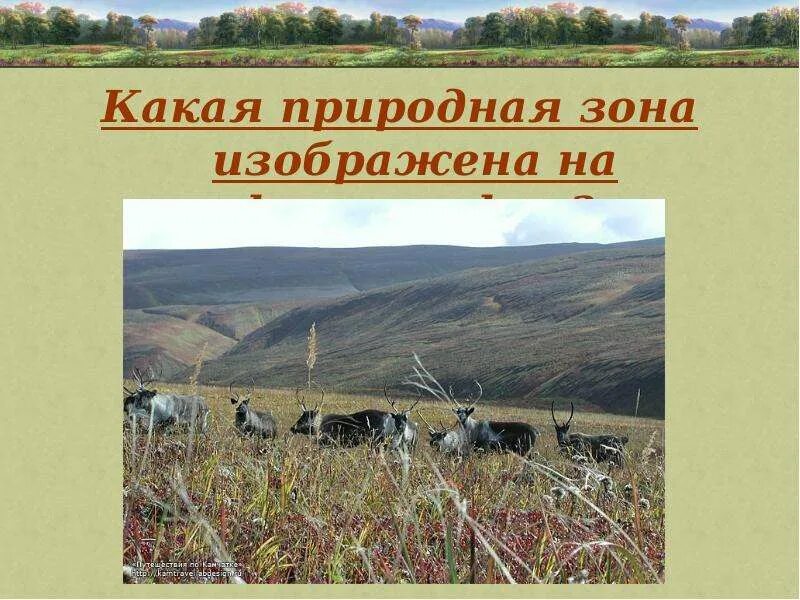 Какая природная зона изображена на фото. Природно хозяйственные зоны России. Природно хозяйственные зоны России фото. Какие природные.