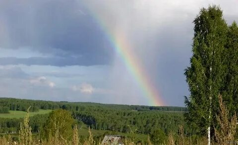 Признают на родине