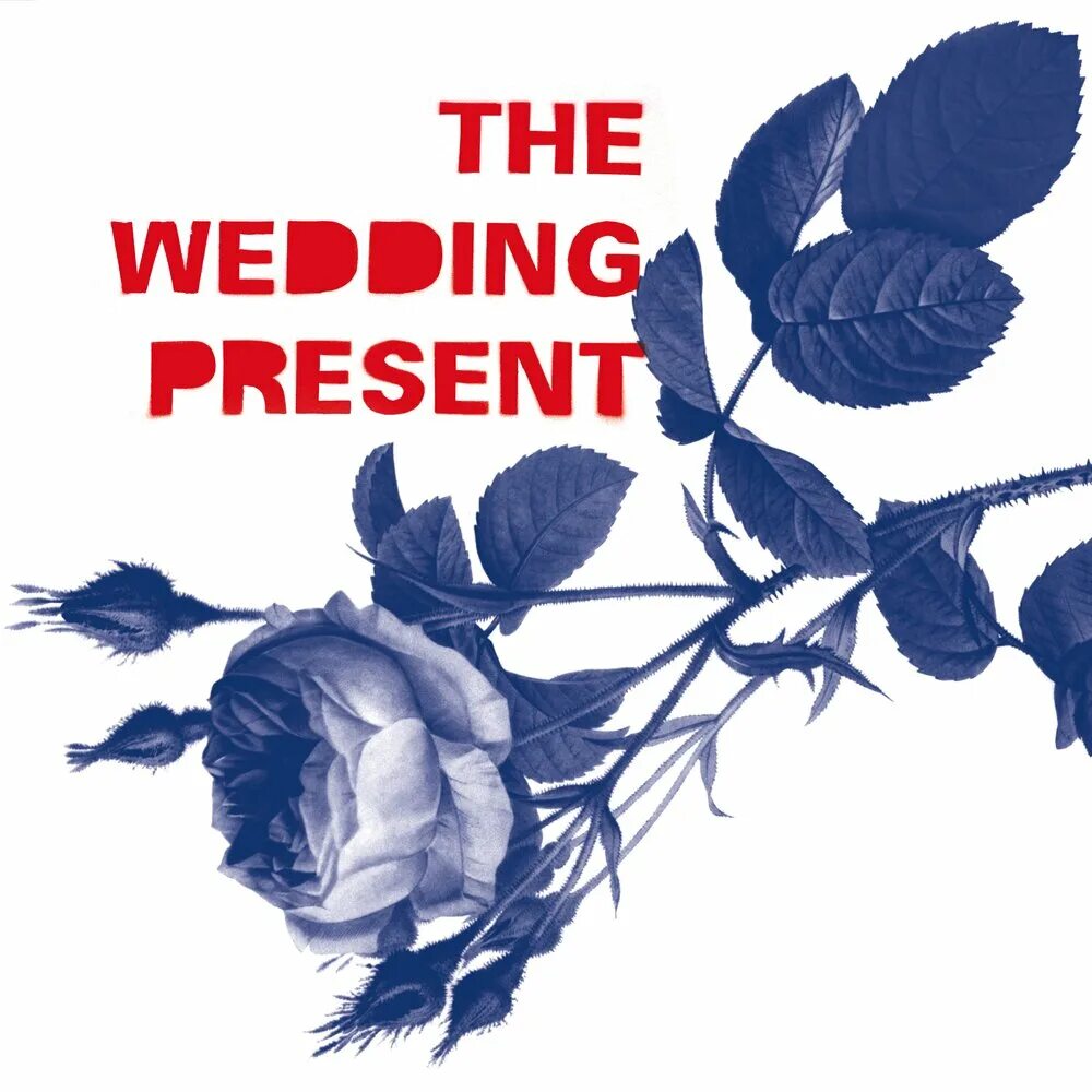 The wedding present