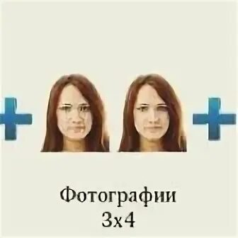 Курсы т. Курсы т