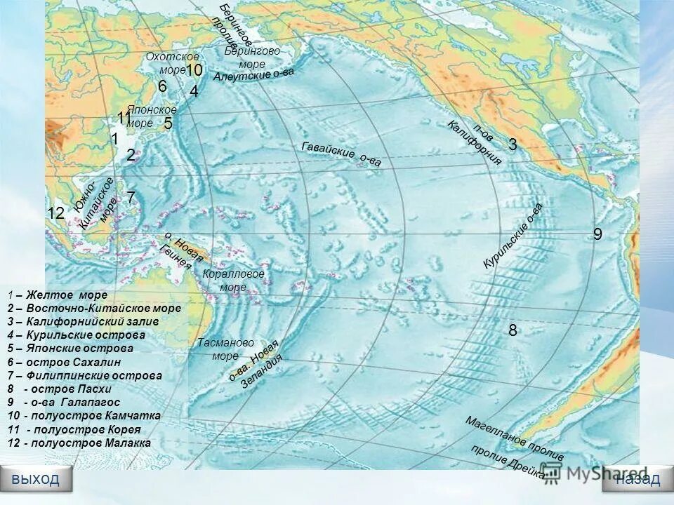 5 заливов названия. Берингово море, Охотское море и японское море. Восточно китайское море на контурной карте Тихого океана. Моря Тихого океана на карте. Рельеф дна Берингова моря.