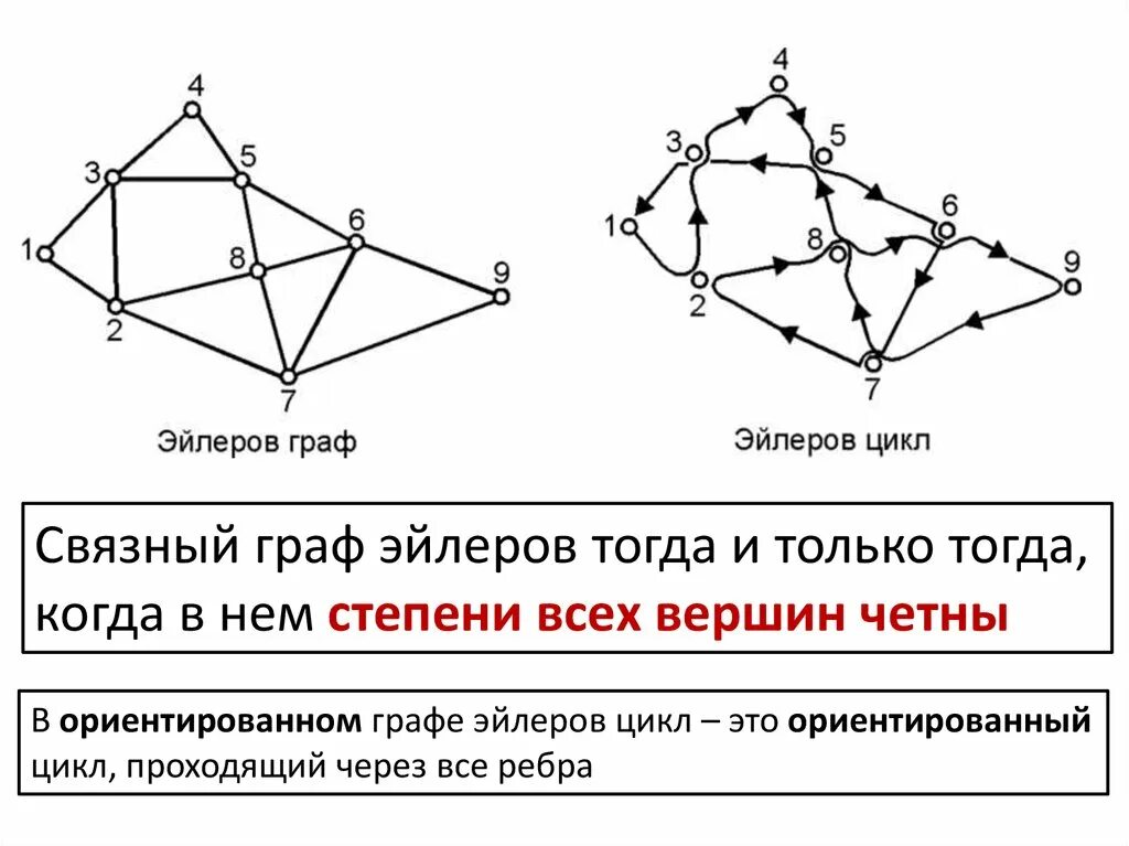 Ориентированным циклом в графе. Эйлер, гамильтоновы циклы и графы. графы с эйлеровым циклом. гамильтоновы цепи и циклы.