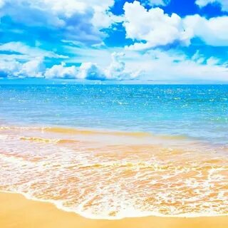 Sea but