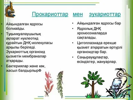 Көпшілік фотоның ортасында секс