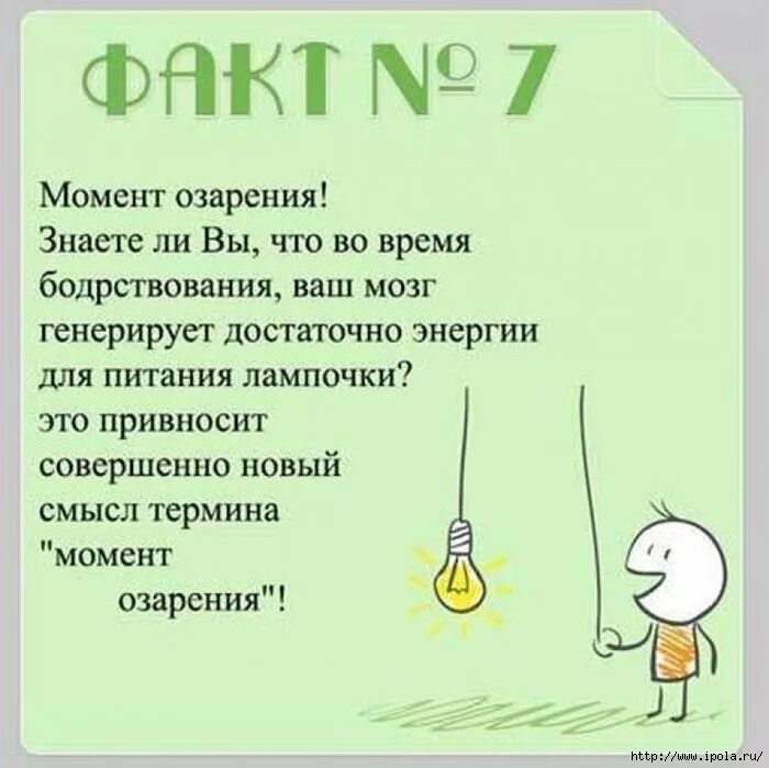 Редкие факты о людях. Интересные факты о головном мозге. Интересные факты о головном мозге человека. Интересные факты о мозге человека для детей. Интересное про мозг.