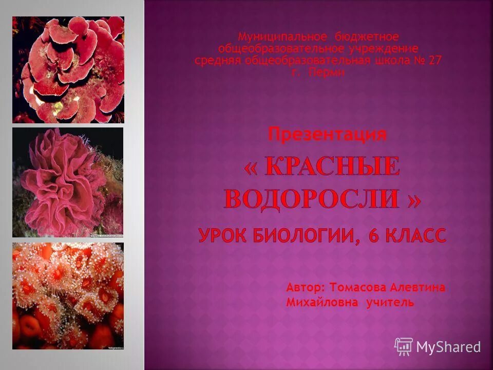 Под ред л в