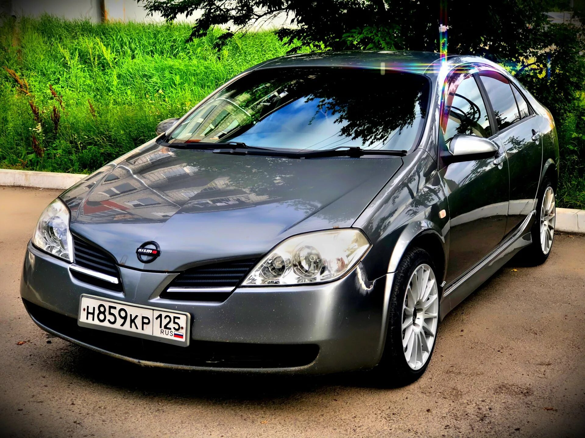 Nissan primera p12 Nismo. Nissan primera p12 Sport. Nissan primera p12 gt. Nissan primera р12 седан. Ниссан п 12 купить