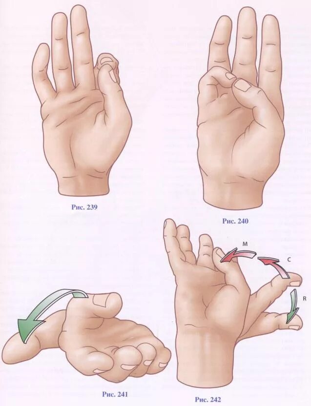Подвижность сустава большого пальца. Движение в суставе большого пальца. Подвижный сустав большого пальца на руке.