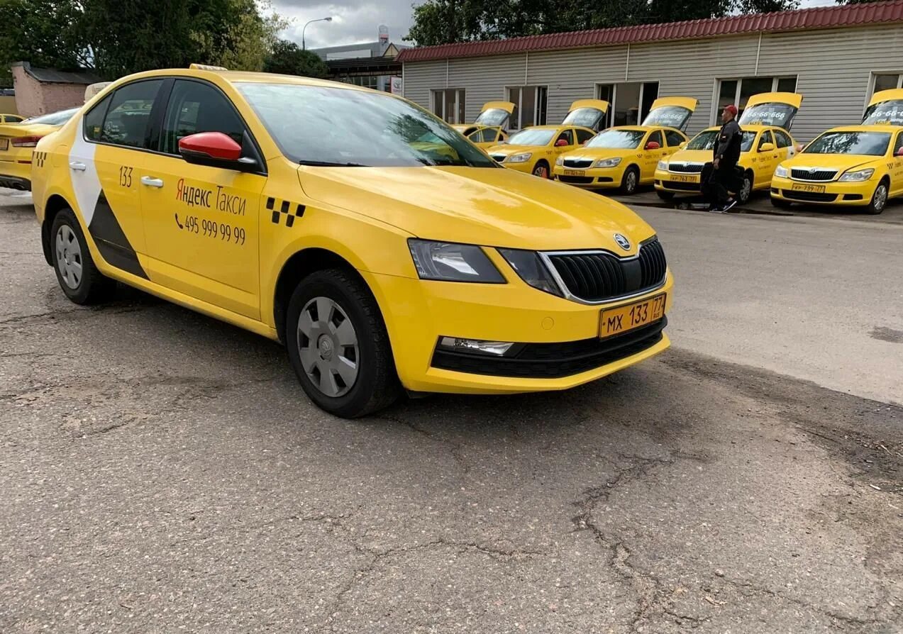 Таксомотор аренда. Škoda Octavia Taxi.