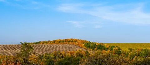 Кинельский оренбургская область