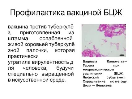 Вакцинацию против туберкулеза проводит