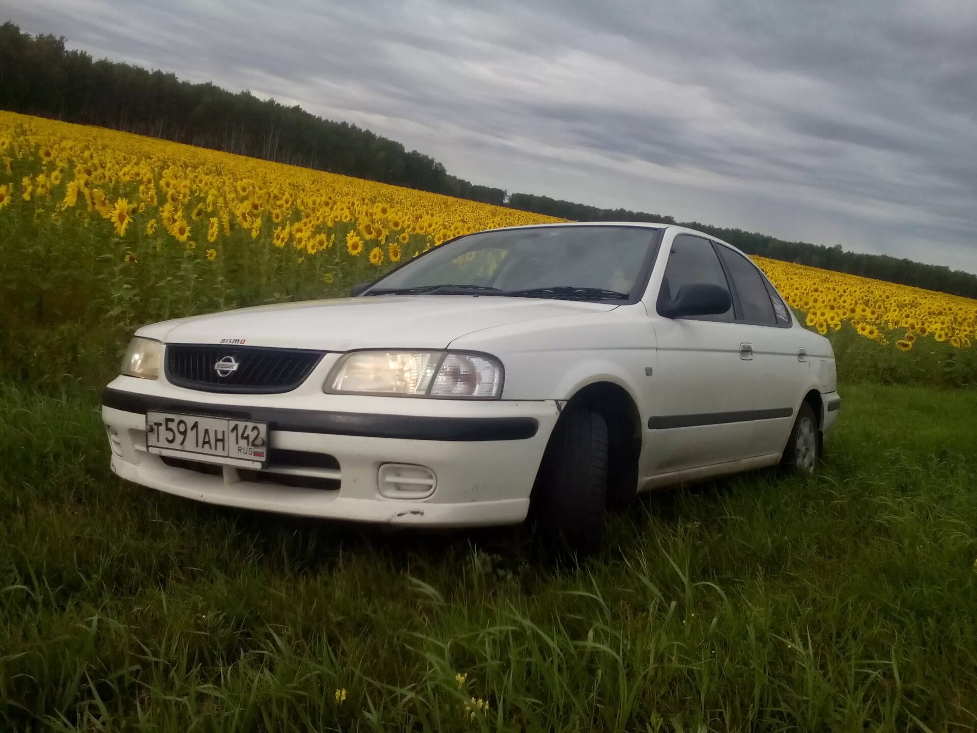 Купить ниссан санни в омске. Nissan Sunny b15. Ниссан Санни b15. Nissan Sunny 2000. Ниссан Санни 2002.