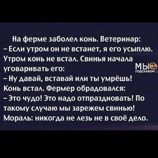 Вставай свинья