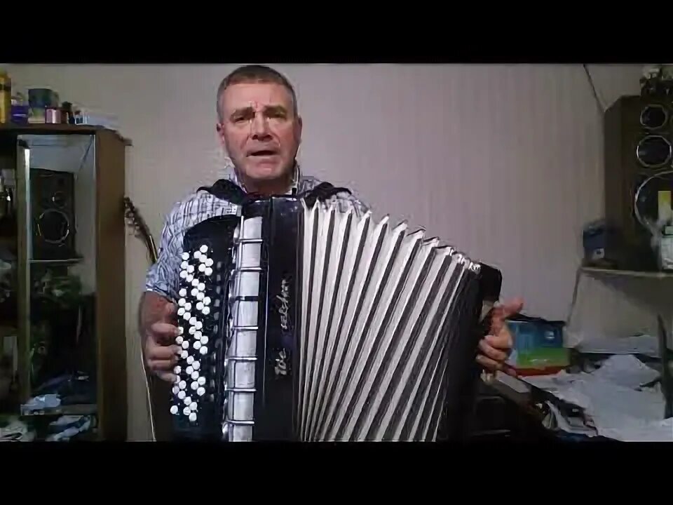Ветка сирени песня. Баян ветка сирени. Баян ветка сирени. Одинокая ветка сирени , седой баянист 34/300. Баян красивое фото эстетика.