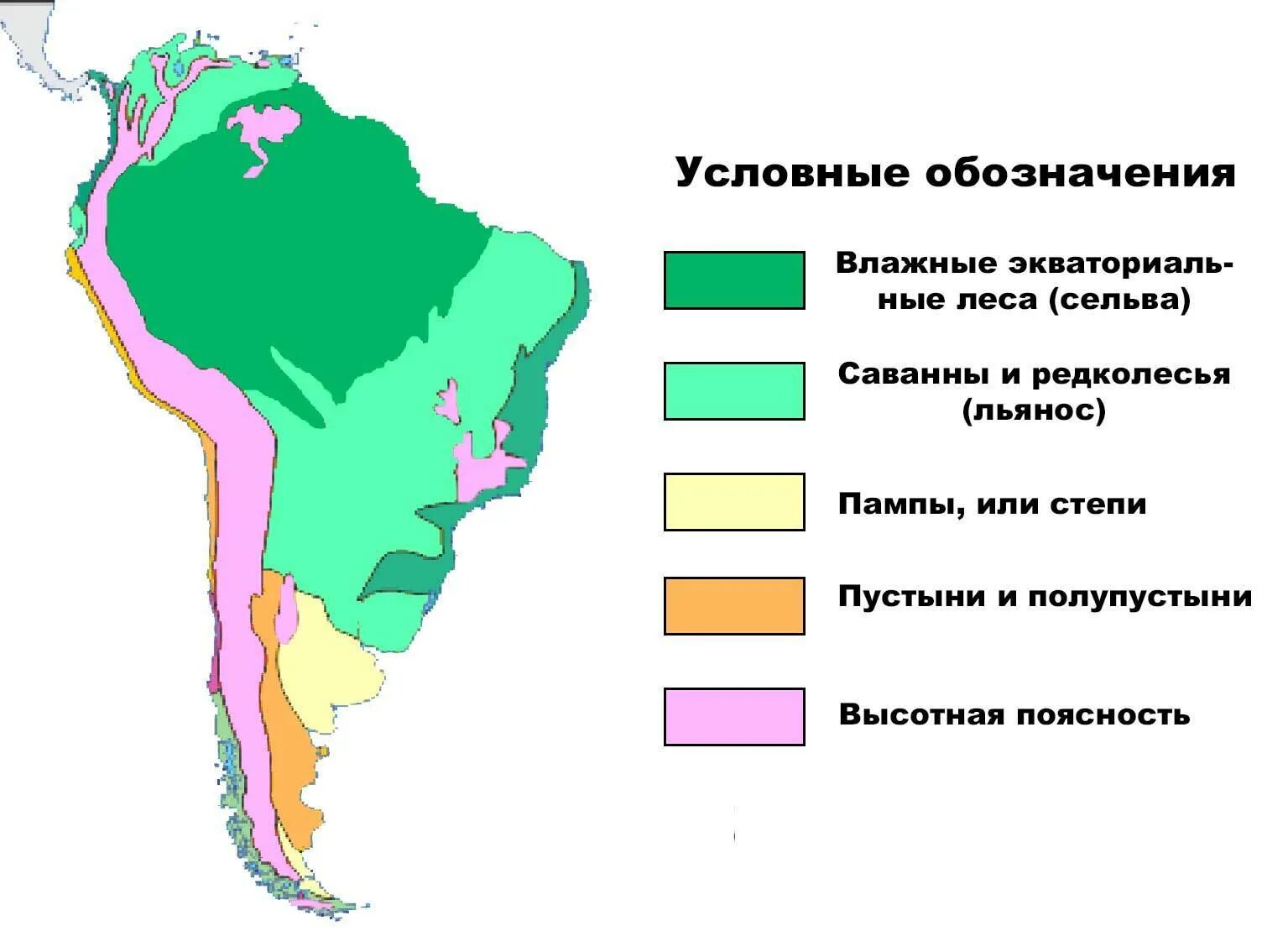 Лесная зона большую часть климатического пояса. Расположение природных зон Южной Америки. Карта природных зон Южной Америки. Климатическая карта Южной Америки с природными зонами. Экваториальный пояс Южной Америки природная зона.