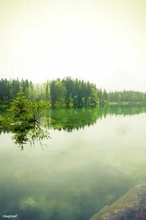 Статичная природа