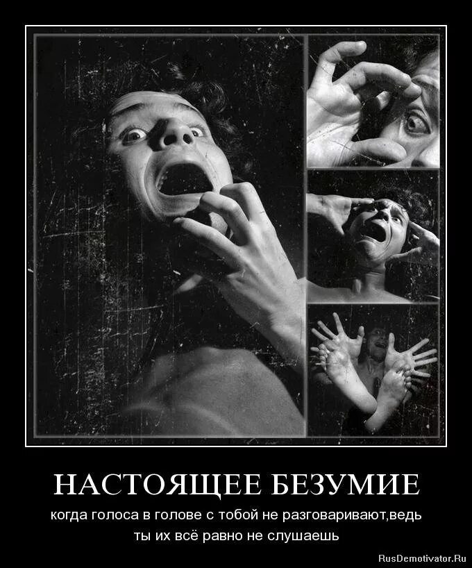 слышу голоса страшно. как слышать голоса в голове. шутки про голоса в голове. слышу голоса страшно. слышу голоса страшно.