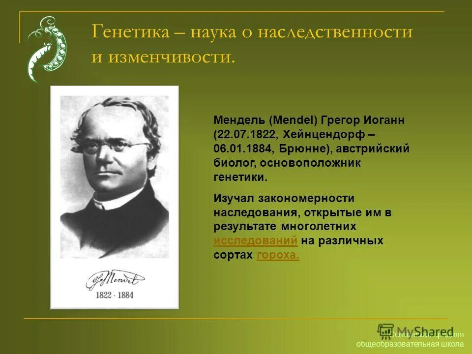 Грегор мендель среди монахов. Грегор мендель использовал в своих исследованиях. Грегор мендель. Биология 1822 мендель. Гибридизация грегор мендель.