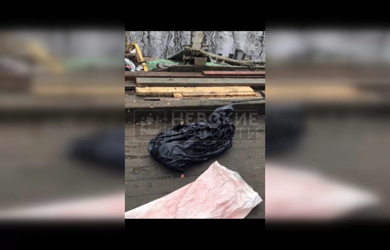 Белые ночи санкт-петербург. Памятники на невском проспекте в санкт-петербурге. Юлия парфененкова санкт петербург. Нашел ее в санкт петербурге. Нашел ее в санкт петербурге.