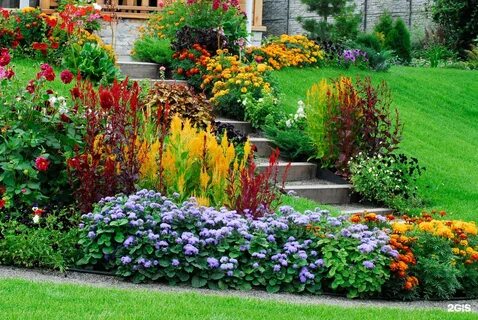 I am garden