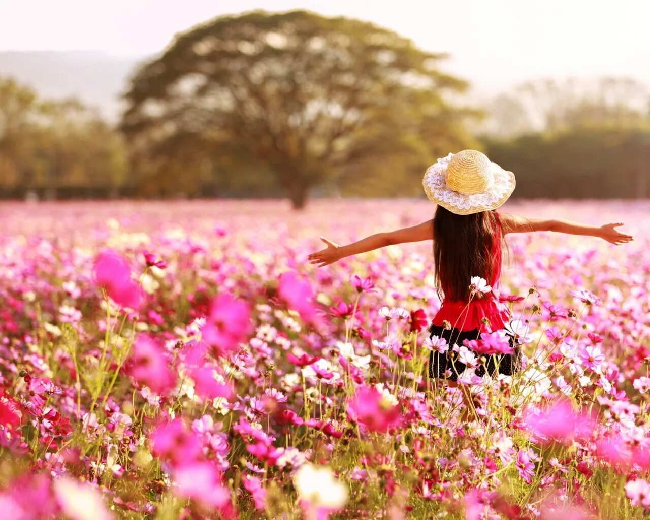 My flowers are beautiful. Девушка поле цветы. Счастливая девушка с цветами. Летние цветы. Лето красота.