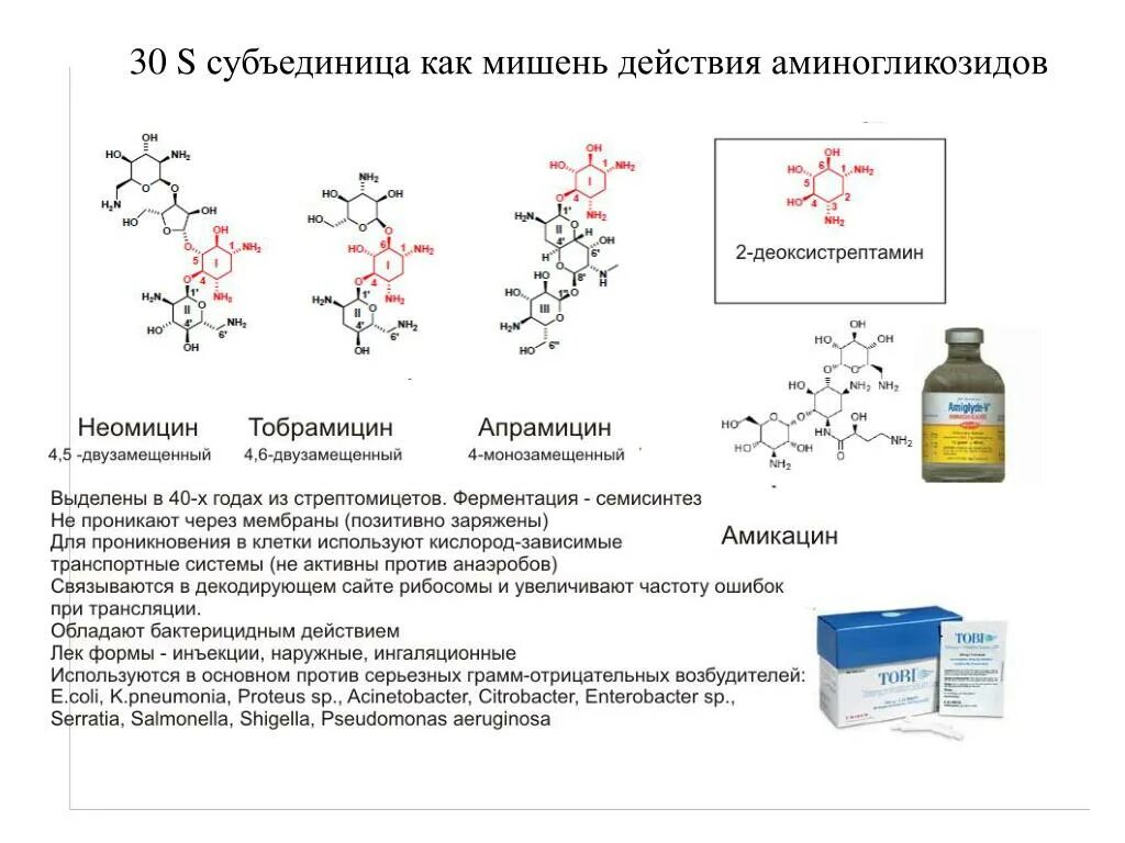 Тетрациклин нежелательные эффекты. Тетрациклины механизм действия схема. Мишень действия тетрациклина. Мишень для полиеновых антибиотиков. Структура бактерий мишени для антимикробных препаратов.
