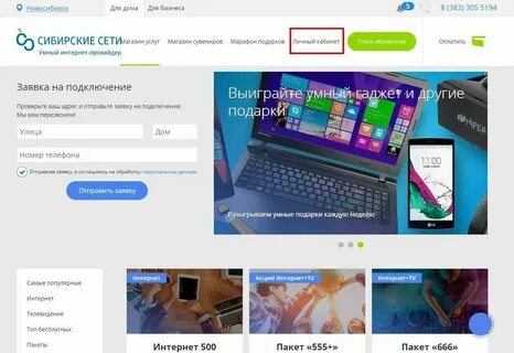 Сибирское интернет