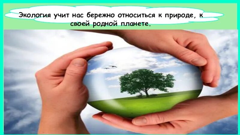 Почему нужно бережно относиться к словам. Бережное отношение к природе. О бережном отношении к природе. Бережное отношение к окружающей среде. Природа экология.