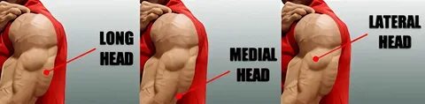 Long media