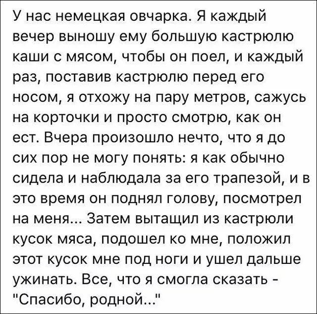 Бесплатные рассказы о жизни. Интересная история из жизни короткая. короткие истории. интересные рассказы из жизни короткие. маленькие интересные рассказы из жизни.