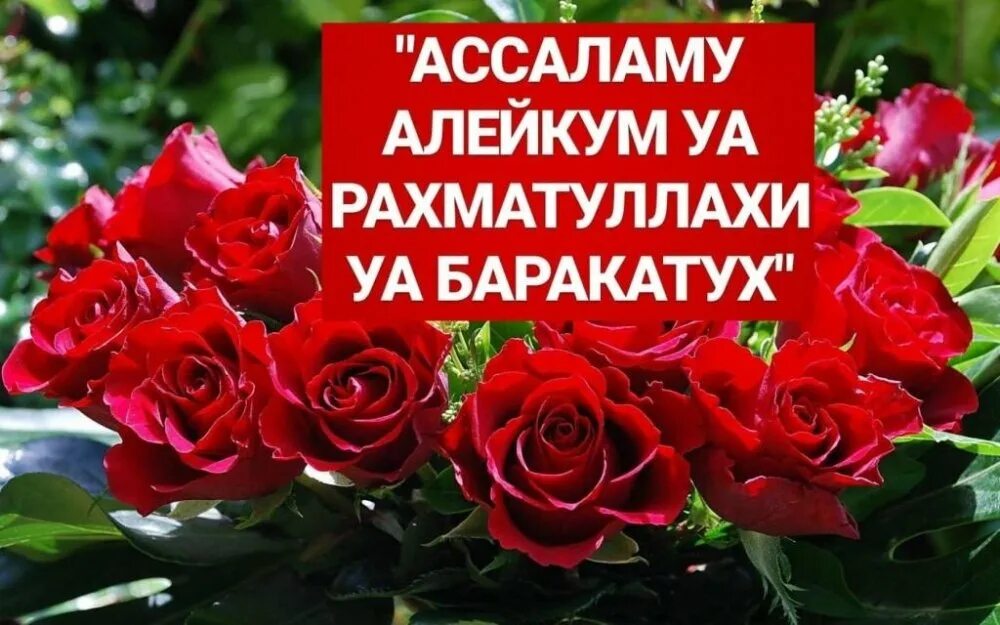Ас саляму алейкум ва рахматуллах. Саляму алейкум. ассаламу алейкум фото. ваалейкум ассалам открытки. ассаламу алейкум надпись.