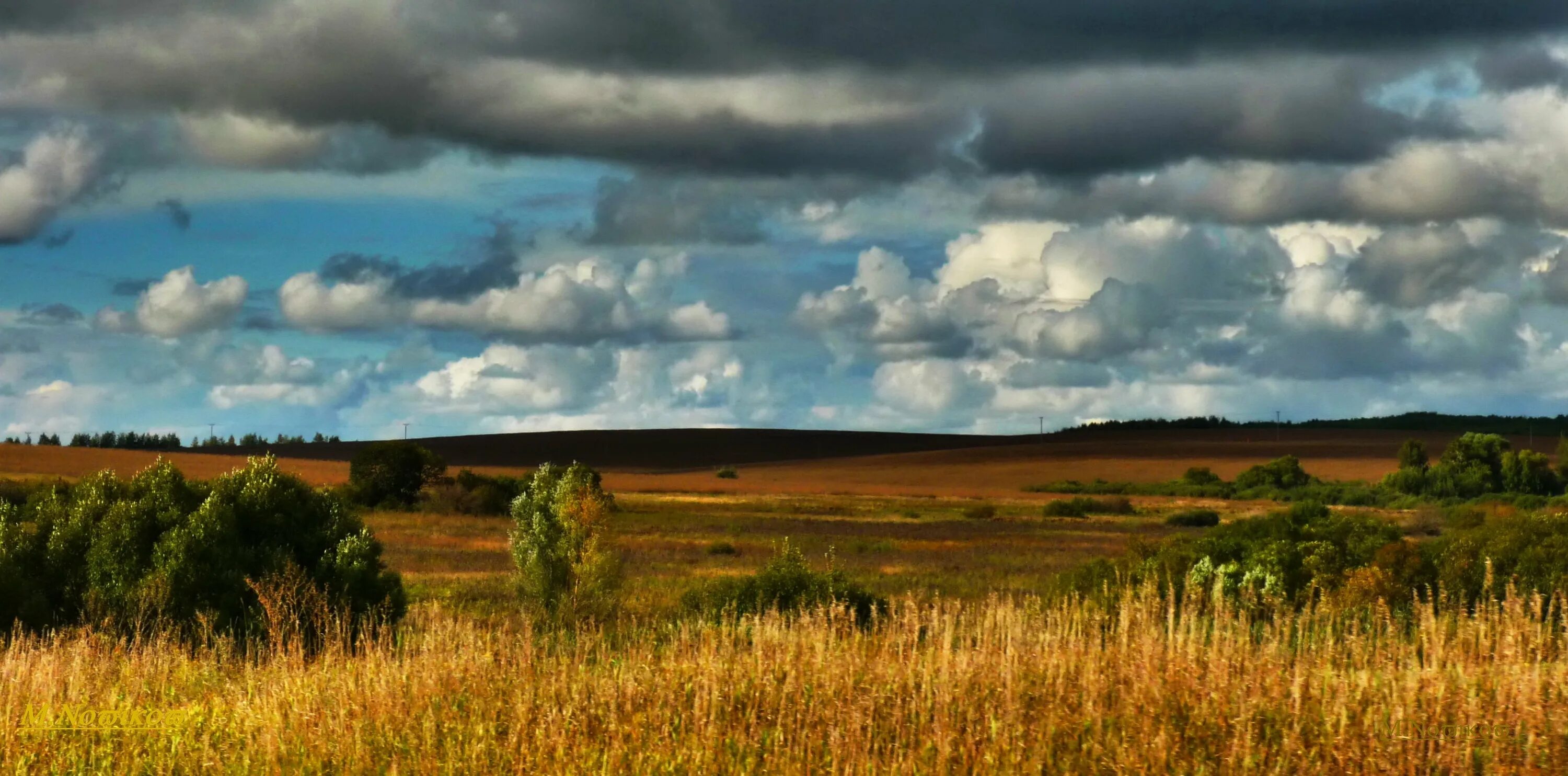 Шолохов пейзаж. Тихий дон иллюстрации к роману пейзаж. Тихий дон река дон. Пейзажи дона. Пейзаж тихий дон шолохов.