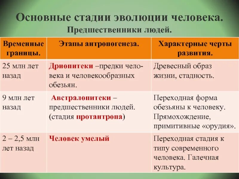 Стадии развития человечества. Основные этапы появления человека. Происхождение человека. Основные этапы появления человека. Ступени развития человека антропогенез.
