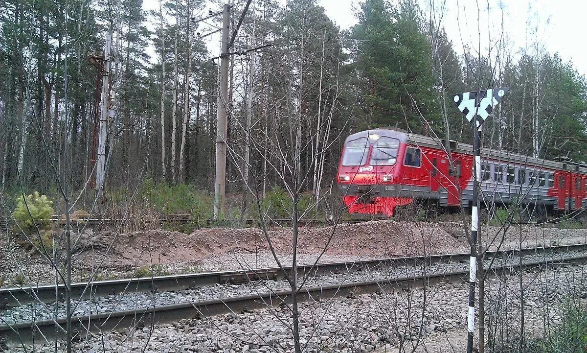 Опять от меня сбежала последняя электричка. Опять от меня сбежала последняя электричка картинки. Опять от меня сбежала последняя электричка Мем. Детково поезда недавние. Опять от меня сбежала последняя текст