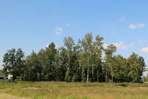 Казанский золотово