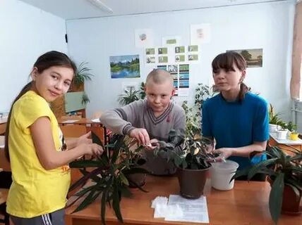 Для озеленения школы купили 102 цветка