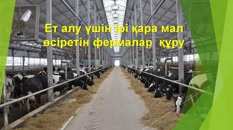 Симстегі порно цензура