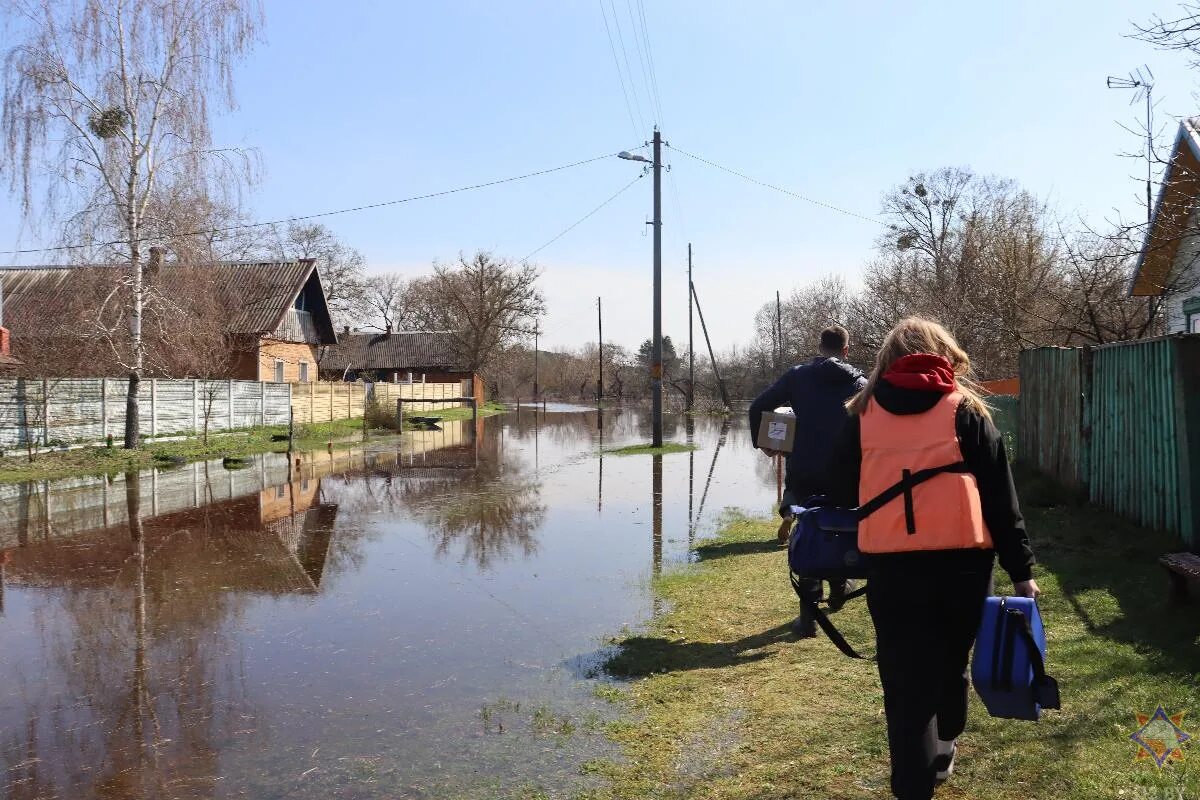 Уровень воды в реке днепр в лоеве. Лоев. Большая вода.