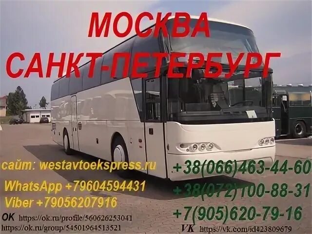 Автобус москва санкт петербург дешево. Автобус из москвы в питер. Расписание поездов москва-санкт-петербург. Номер маршрутки от санкт петербурга до москвы. Автобус от питера до москвы.