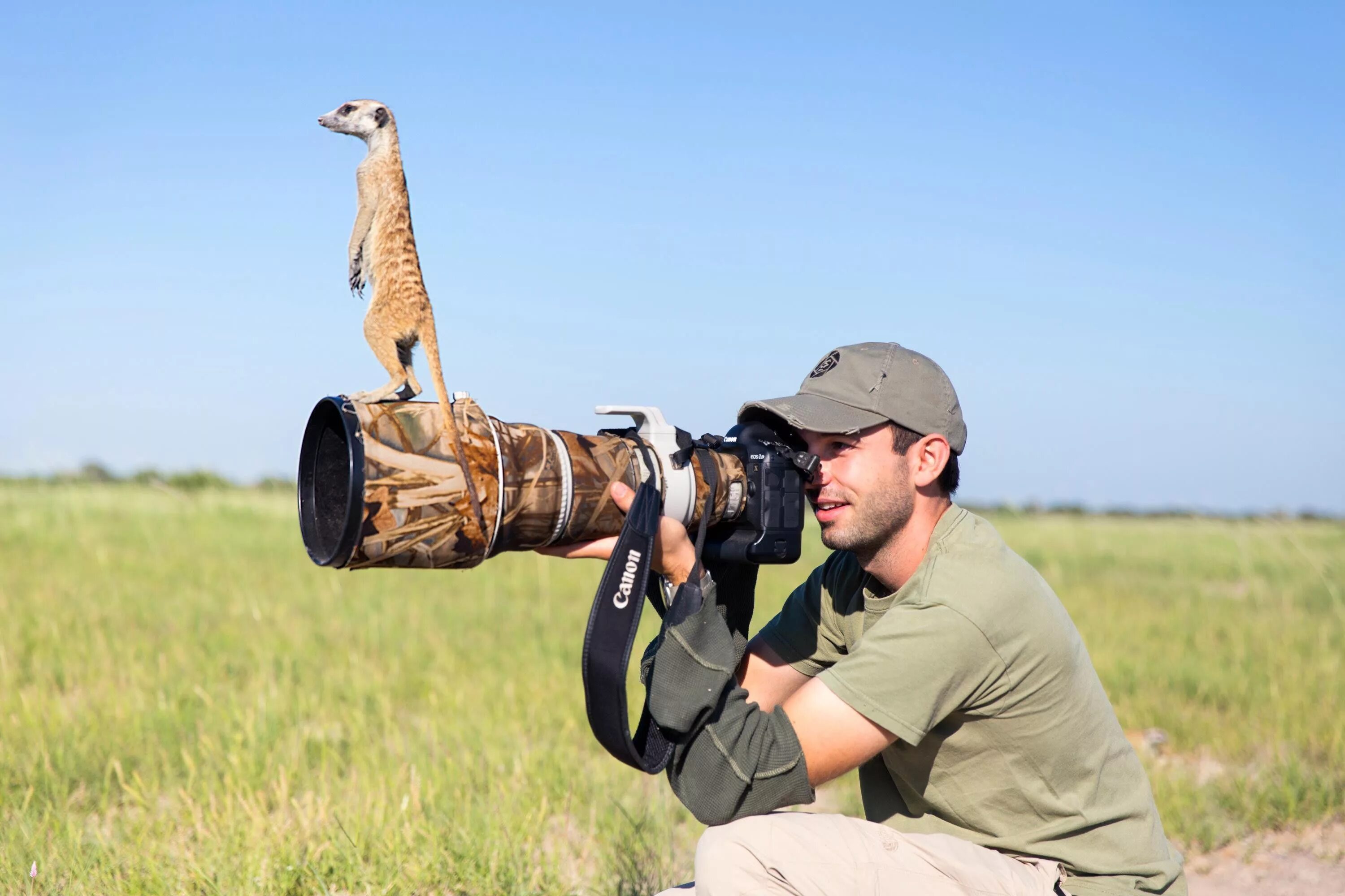 Wildlife photos. Уилл бёррард-Лукас. Фотографирование птиц. Фотоохота на животных в дикой природе. Фотографы дикой природы с животными.