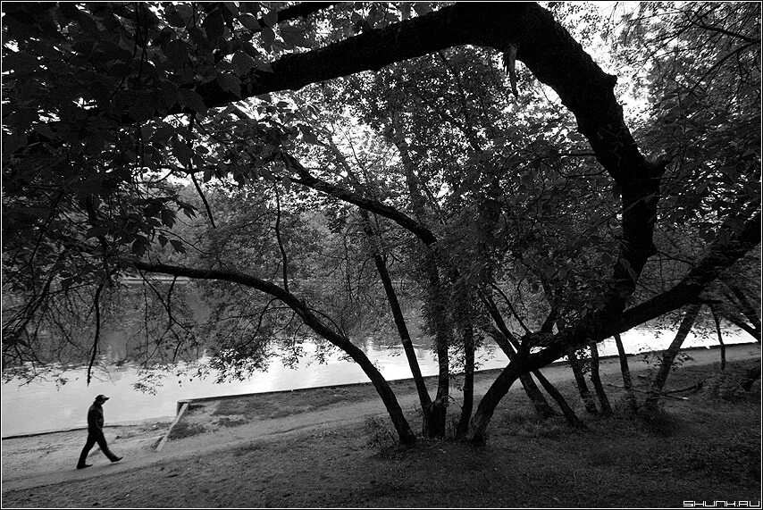 хайдарали усманов лесовик все книги по порядку. железная дорога арт. железнодорожный пейзаж. тернистый путь 14. трудная дорога к богу.